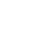 CARF Seal of Accreditation